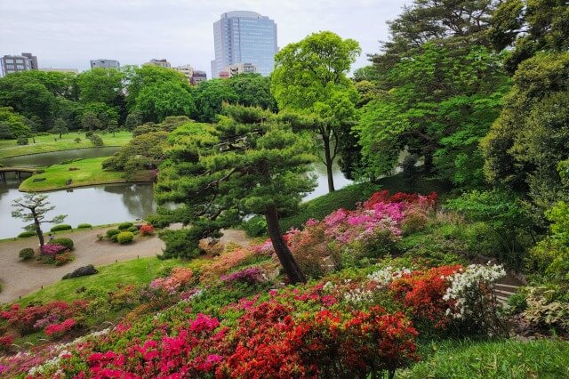 藤代峠