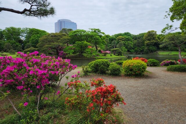 藤代峠