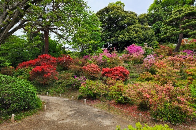 藤代峠