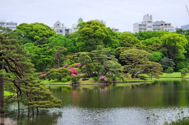 中の島