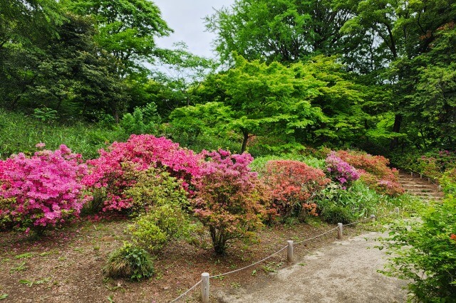 吹上茶屋周辺