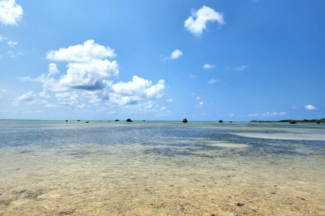 佐和田の浜