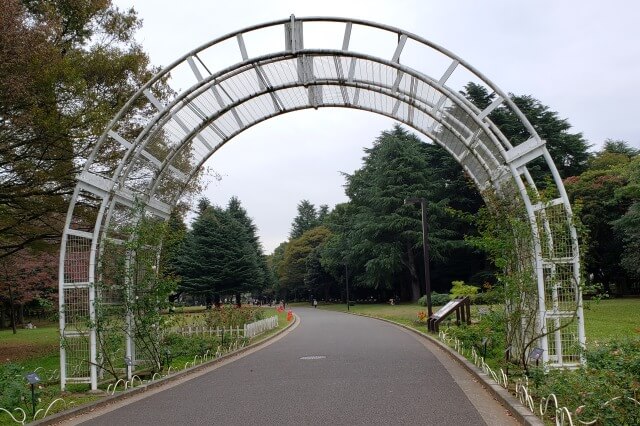 秋の「バラの園」のバラの様子