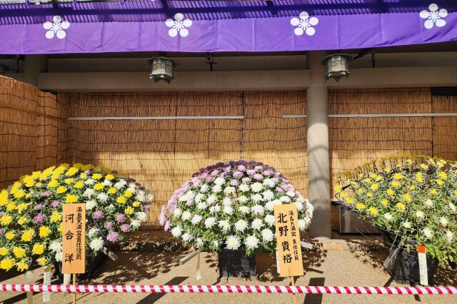 湯島天神の菊まつりの見どころ