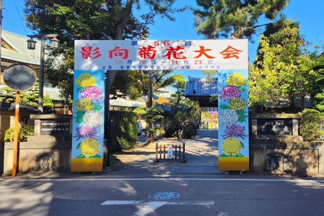 善養寺の菊まつりの見どころ