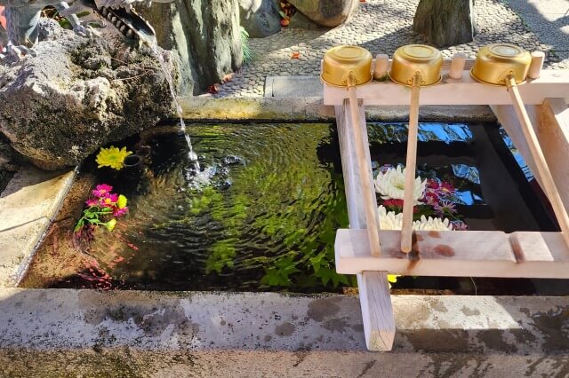 善養寺の菊まつりの見どころ