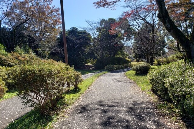 昭和記念公園のサイクリング一周の距離