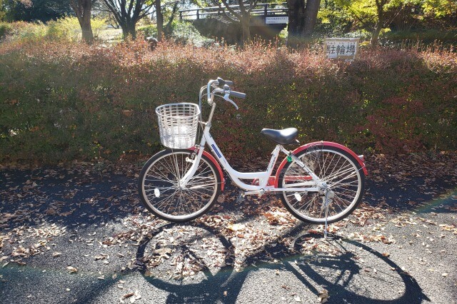 昭和記念公園でサイクリングをしてみた感想