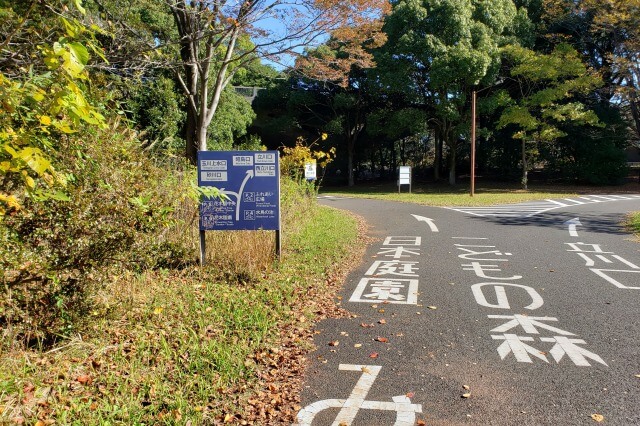 昭和記念公園でサイクリングをしてみた感想