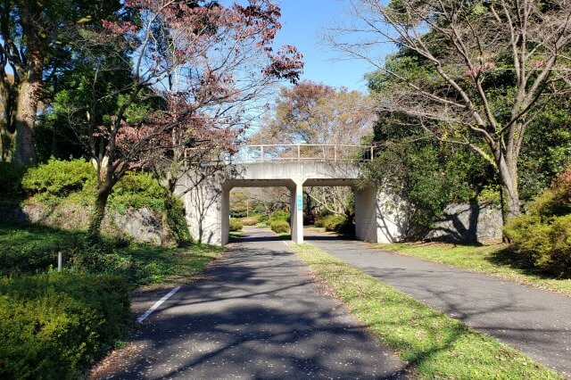 昭和記念公園でサイクリングをしてみた感想