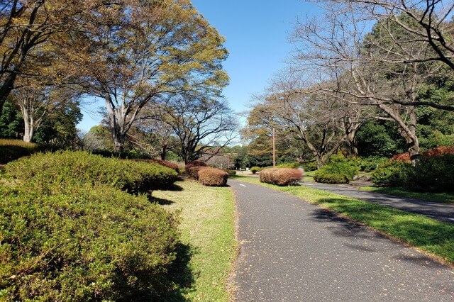 昭和記念公園でサイクリングをしてみた感想