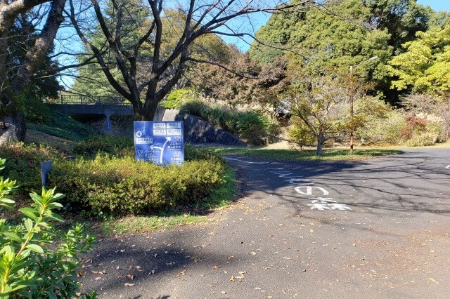 昭和記念公園でサイクリングをしてみた感想