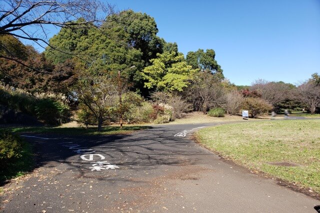 昭和記念公園でサイクリングをしてみた感想