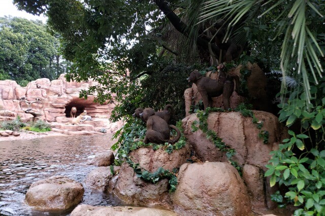 ディズニーランドのジャングルクルーズの動物たち｜ワニや像もいます