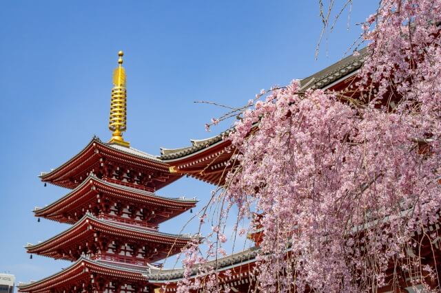 浅草の浅草寺の境内を英語で説明