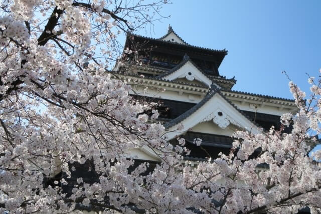 熊本城の歴史を英語で説明