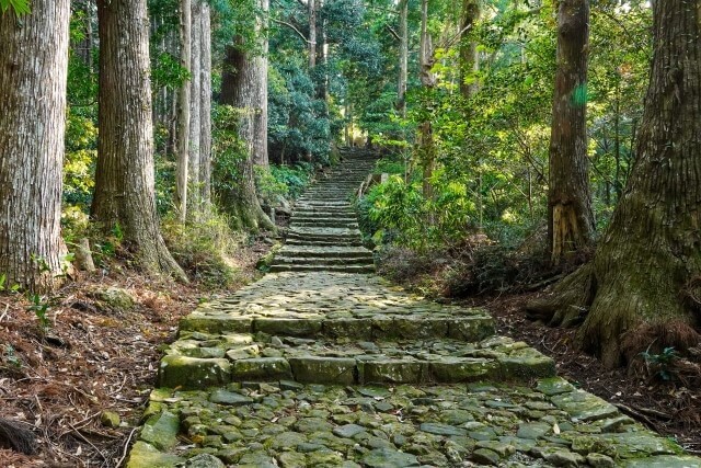 熊野古道の世界遺産登録を英語で説明