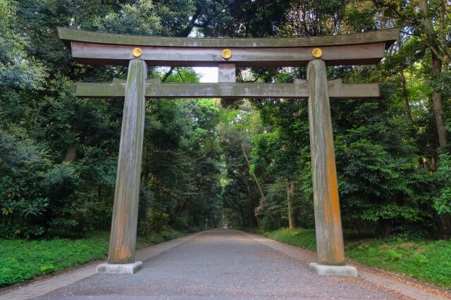 明治神宮の日本一の大鳥居を英語で説明