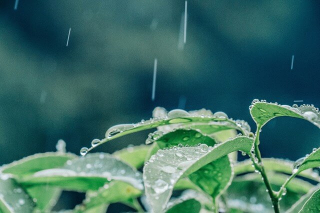 梅雨を英語で説明