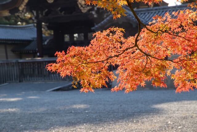 京都御所を囲む京都御苑を英語で説明