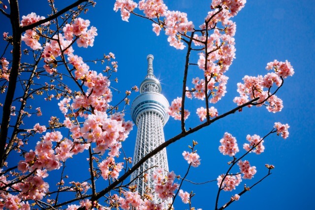 東京スカイツリーを英語で説明