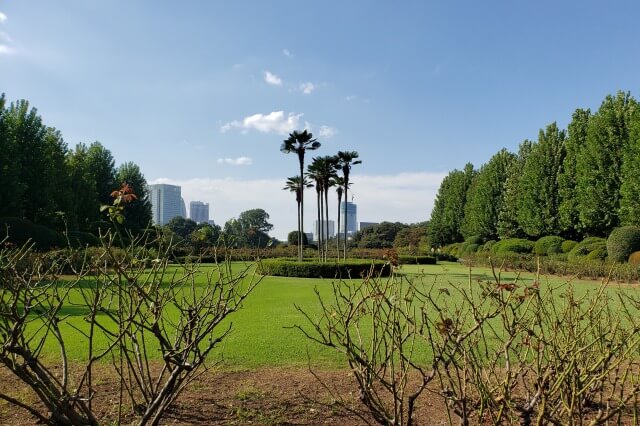 新宿御苑の庭園｜風景式庭園・ 整形式庭園・日本庭園・玉藻池