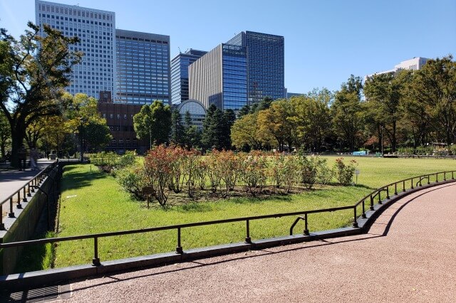 日比谷公園の花壇｜第二花壇