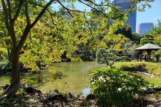 日比谷公園の心字池と雲形池｜池の周りをのんびり散歩できます