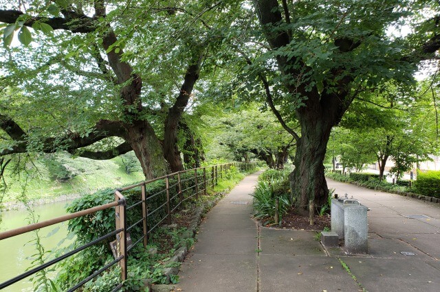 千鳥ヶ淵緑道