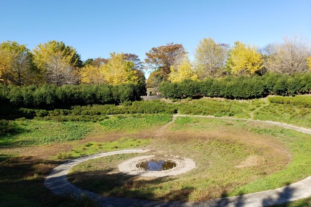 昭和記念公園のこどもの森｜子供が楽しく遊べる施設が沢山あります