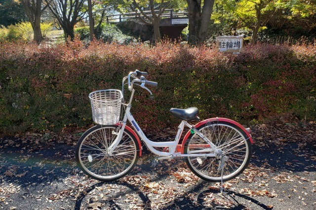 昭和記念公園のサイクリング｜約14kmのサイクリングコースがあります