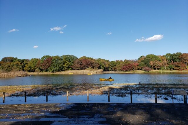 昭和記念公園の所要時間｜広すぎるので1日あっても足りません