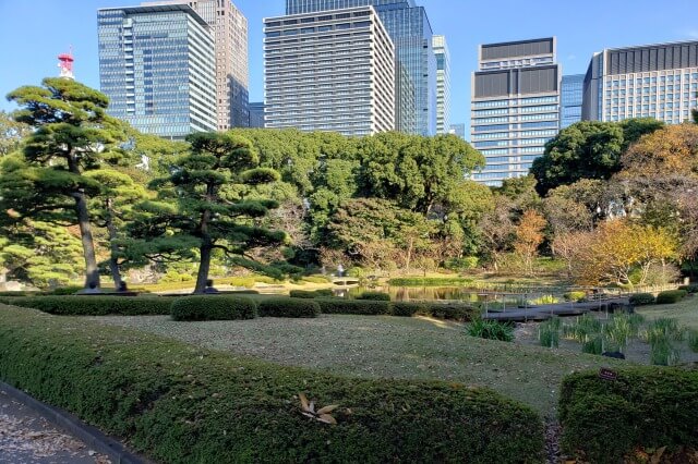 皇居東御苑の見どころ｜二の丸庭園