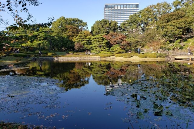 皇居東御苑の見どころ｜二の丸庭園の二の丸池