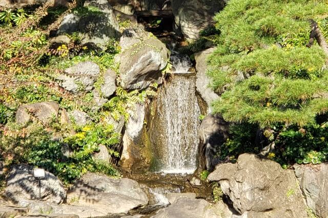 皇居東御苑の見どころ｜二の丸庭園の滝