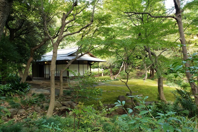 旧古河庭園の日本庭園｜小川治兵衛が造園した池泉回遊式庭園