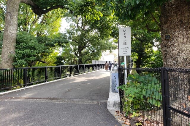 上野動物園の東園の見どころ