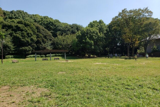 代々木公園のオリーブ広場