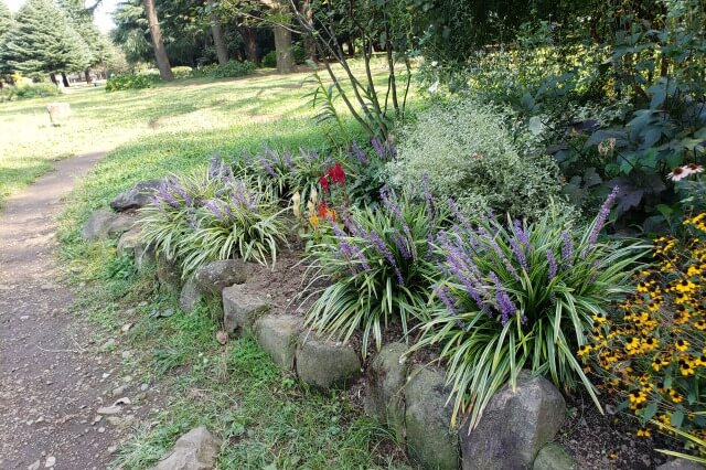 代々木公園の花の小径