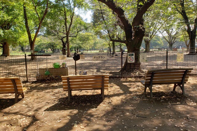 代々木公園のドッグラン