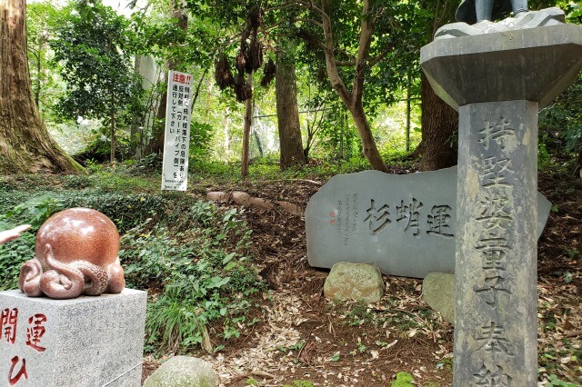 高尾山の1号路で山頂を目指すコース