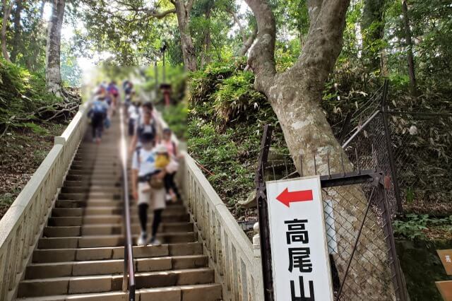 高尾山の薬王院でお参り