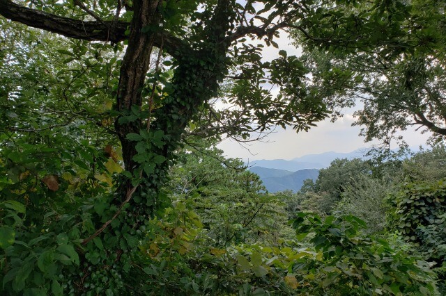 高尾山の頂上で一休憩