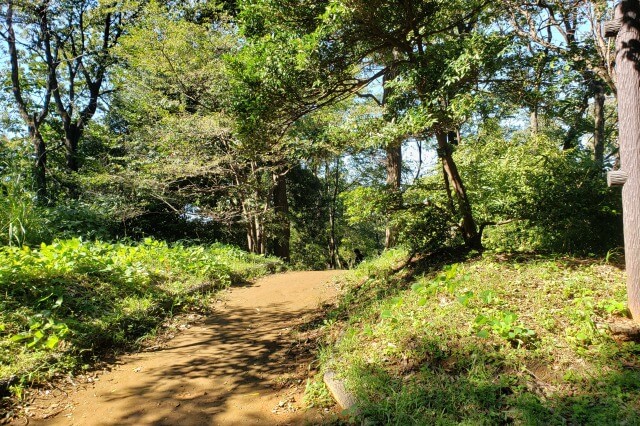 こどもの国（神奈川県横浜市）の園内マップ（地図）