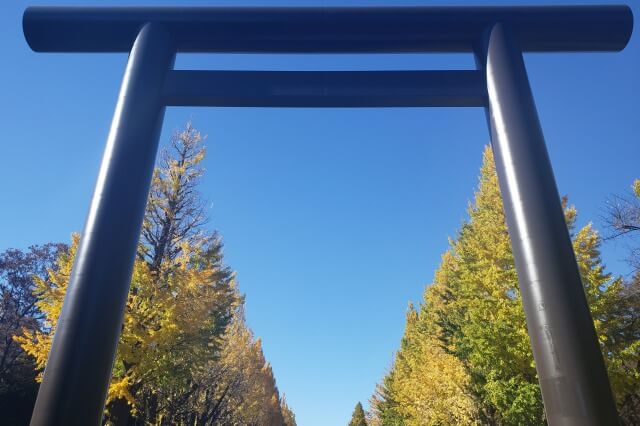 靖国神社(東京)の紅葉｜イチョウ並木は黄色・神池庭園は赤色に！