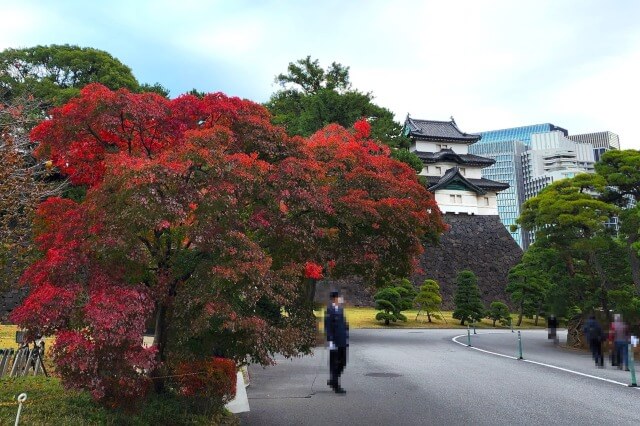 富士見櫓