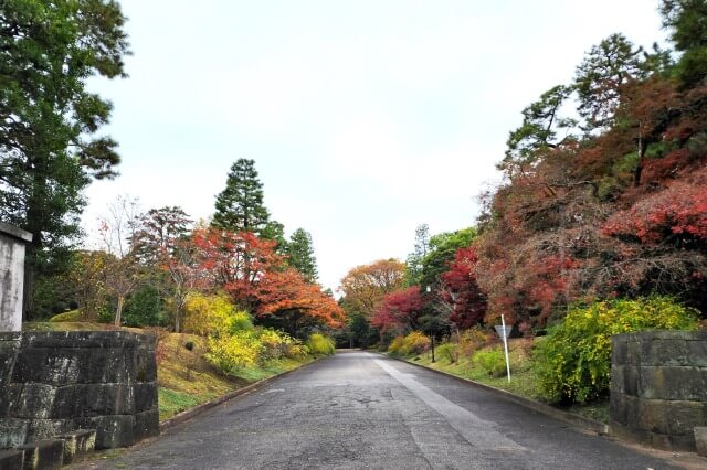 山下通り