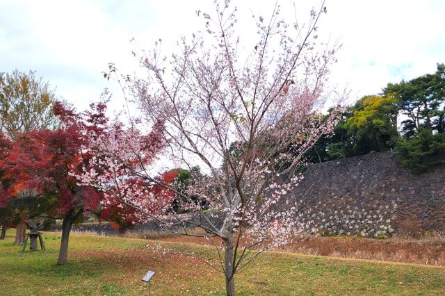 蓮池濠