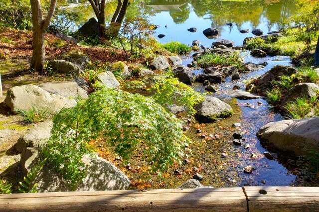 昭和記念公園の日本庭園の北の流れ