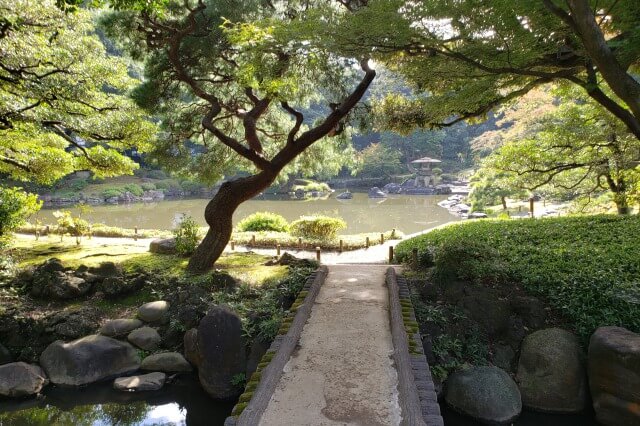 旧古河庭園の日本庭園の心字池｜池の周りを巡りながら鑑賞します